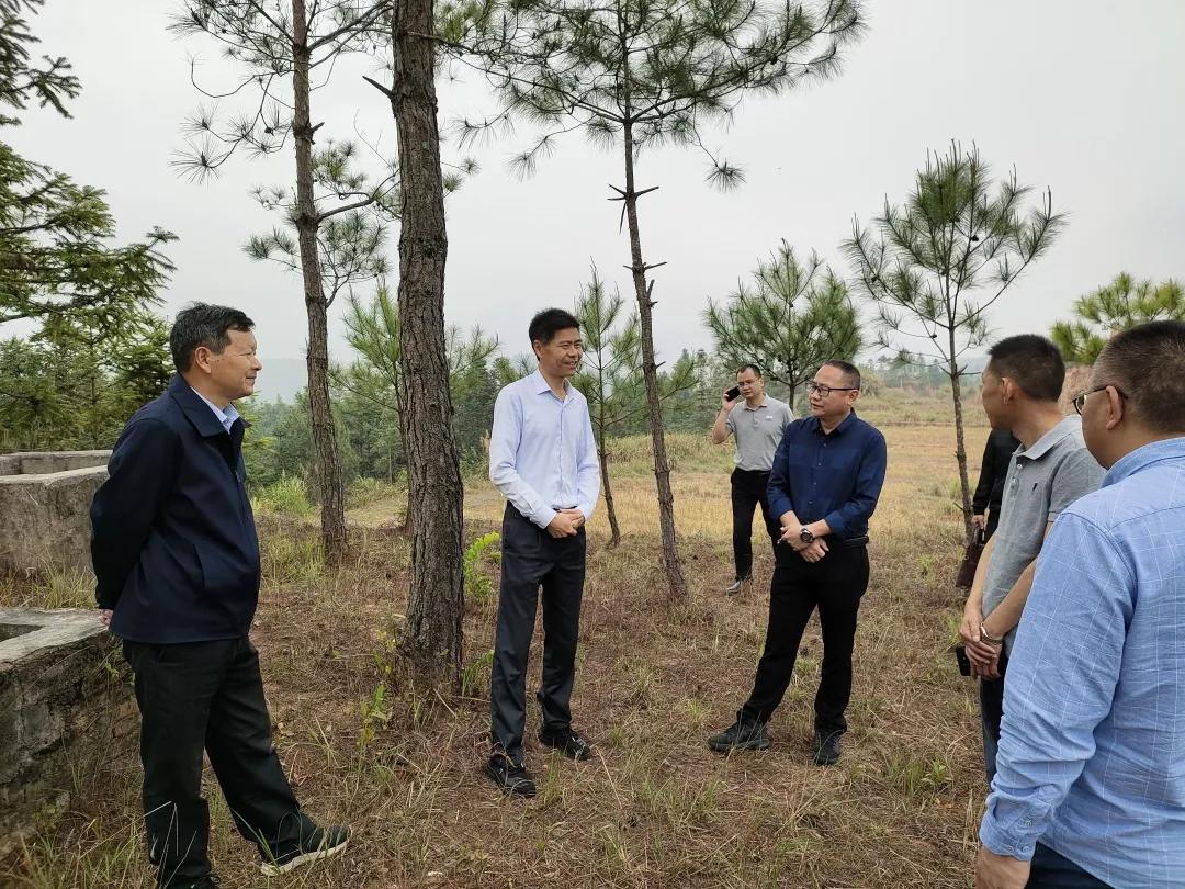 上杭白砂鎮(zhèn)做水庫最新,上杭白砂鎮(zhèn)水庫建設最新動態(tài)