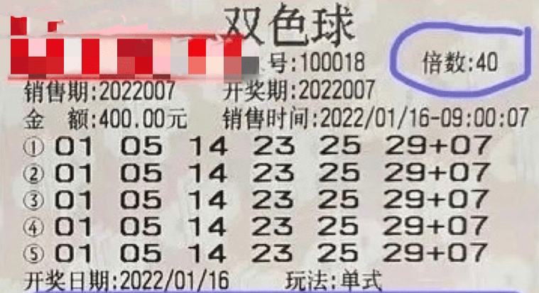 2024新澳門今晚開獎號碼和香港,新澳門與香港的未來，探索彩票開獎的奧秘與機遇