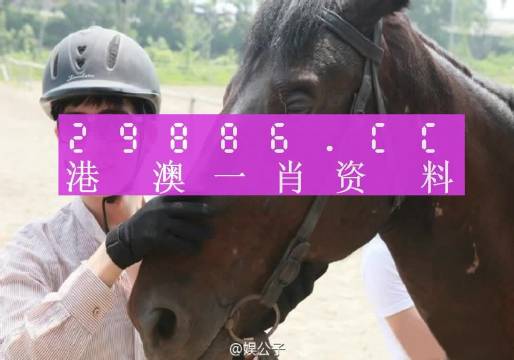 澳門(mén)一肖一碼最準(zhǔn)一碼,澳門(mén)一肖一碼最準(zhǔn)一碼，揭示背后的真相與風(fēng)險(xiǎn)