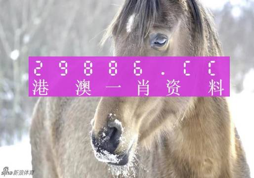 澳門一肖一碼100%準(zhǔn)確?,澳門一肖一碼，揭秘所謂的100%準(zhǔn)確預(yù)測(cè)背后的真相