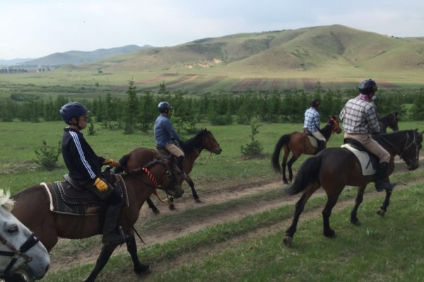 澳門今晚開特馬四不像圖,澳門今晚開特馬四不像圖，揭示違法犯罪的危害與警示