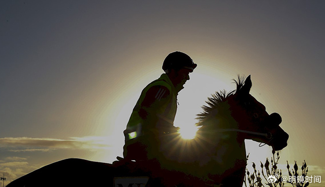 2024澳門特馬今晚開獎56期的,關(guān)于澳門特馬今晚開獎的探討與警示——警惕違法犯罪風(fēng)險