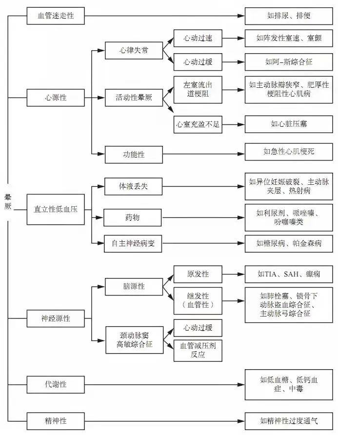 777778888王中王最新,探索數(shù)字背后的秘密，揭秘王中王最新與777778888背后的故事