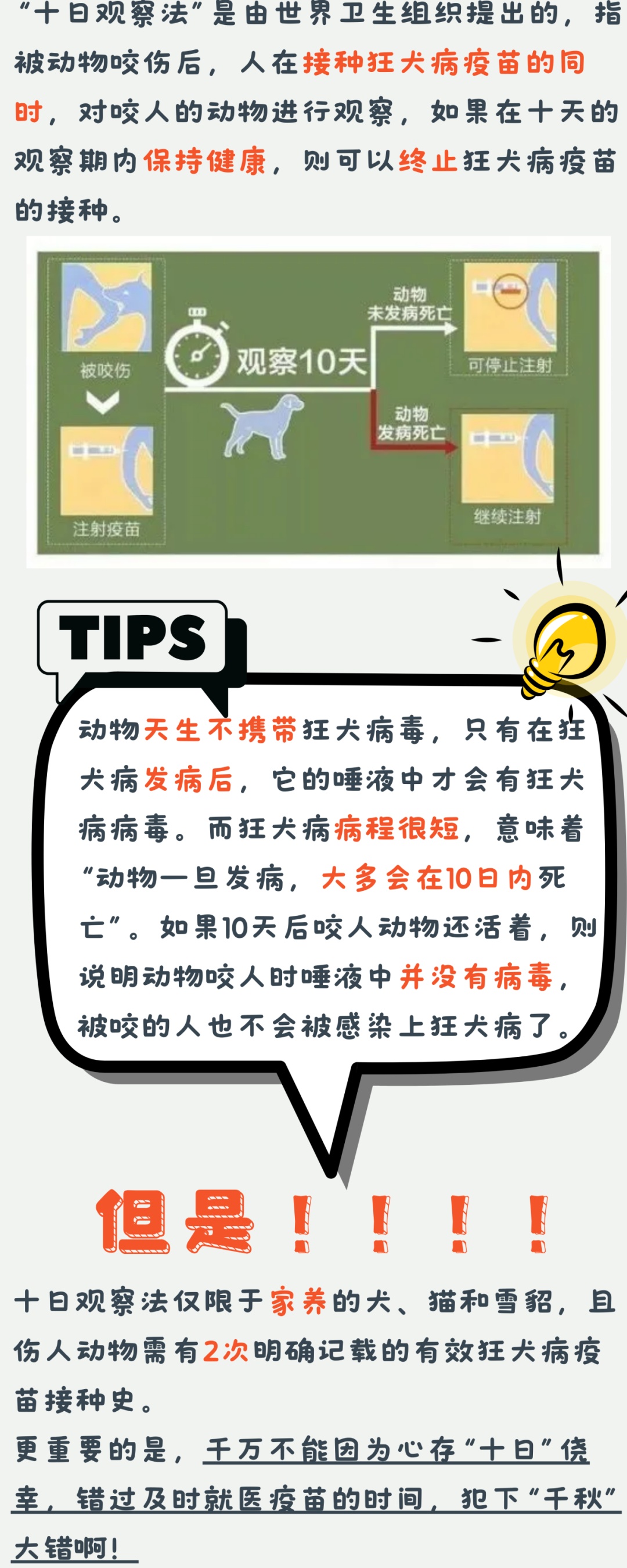 澳門管家婆四肖選一肖期期準,澳門管家婆四肖選一肖期期準——揭開神秘面紗下的真相