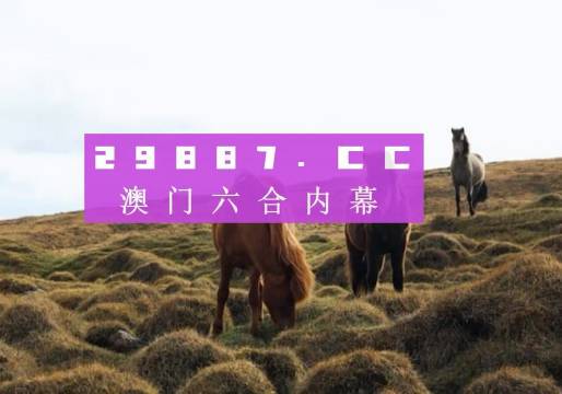 澳門六開獎結果2023開獎記錄查詢網(wǎng)站,澳門六開獎結果2023開獎記錄查詢網(wǎng)站，探索與解析