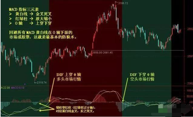 今晚上必開一肖,今晚上必開一肖，探索背后的神秘與預(yù)測的可能性