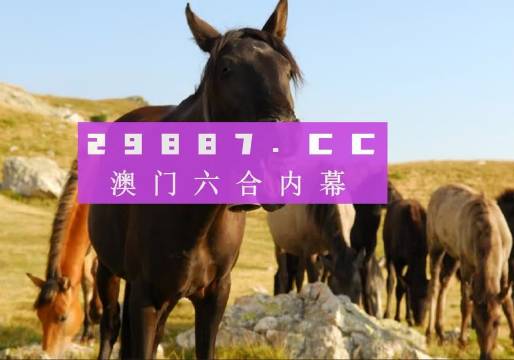 今晚澳門馬出什么特馬,今晚澳門馬出什么特馬，探索賽馬世界的神秘面紗