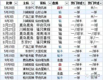 新澳內部資料精準一碼波色表,新澳內部資料精準一碼波色表，探索與解讀