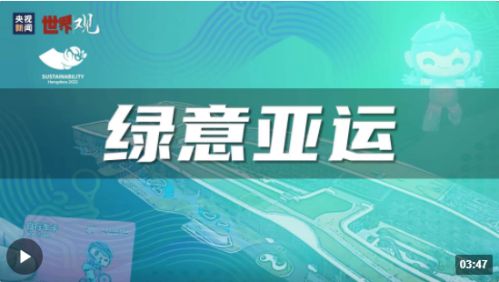 精準一肖一碼一子一中,精準預(yù)測，一肖一碼一子一中的奧秘