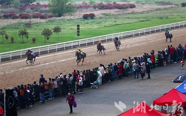 澳門馬會(huì)傳真-澳門,澳門馬會(huì)傳真，探索與體驗(yàn)獨(dú)特的澳門賽馬文化