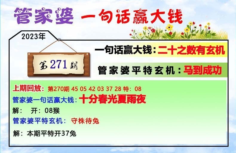 澳門一肖一碼100管家婆9995,澳門一肖一碼與管家婆9995，探索與解析