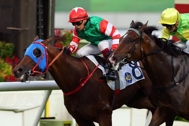 新澳今天開什么特馬,新澳今日賽馬盛況，探尋特馬競技的魅力