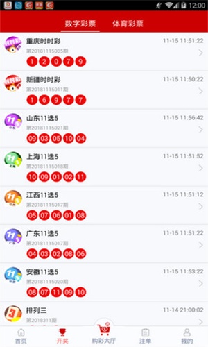 白小姐一碼一肖100準(zhǔn)確,白小姐一碼一肖，揭秘100%準(zhǔn)確的預(yù)測(cè)背后的秘密