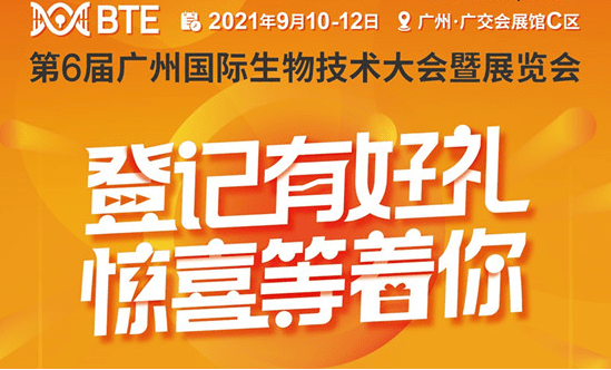 管家婆2024一句話中特,管家婆2024一句話中特，洞悉商業(yè)智慧，駕馭未來先機