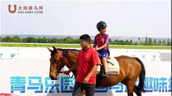 新澳今天開(kāi)什么特馬,新澳今日賽馬結(jié)果揭秘，探尋特馬的勝利之路