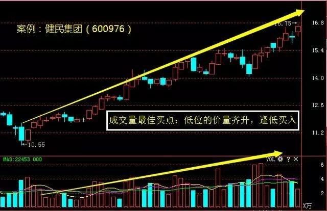 香港今晚開特馬 開獎結(jié)果66期,香港今晚開特馬，第66期開獎結(jié)果的期待與探索