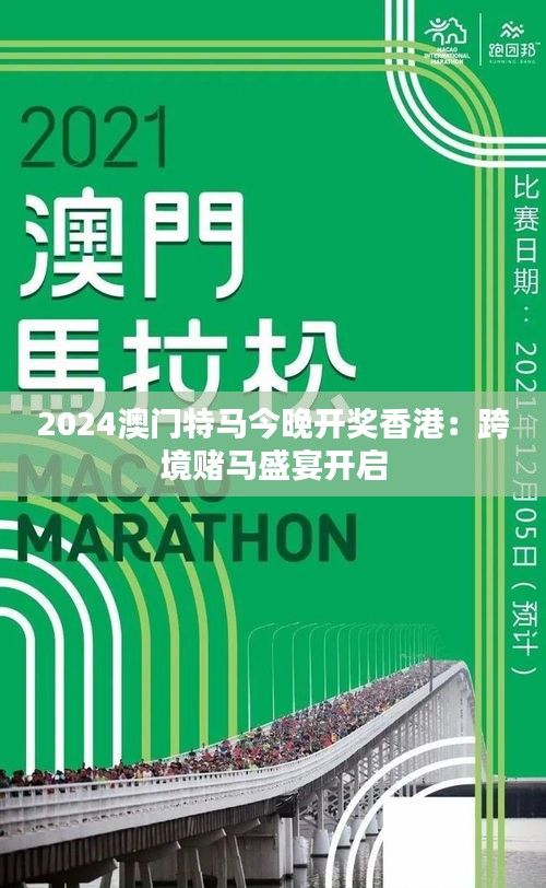 2024年澳門特馬今晚,探索澳門特馬的世界，2024年的今晚展望