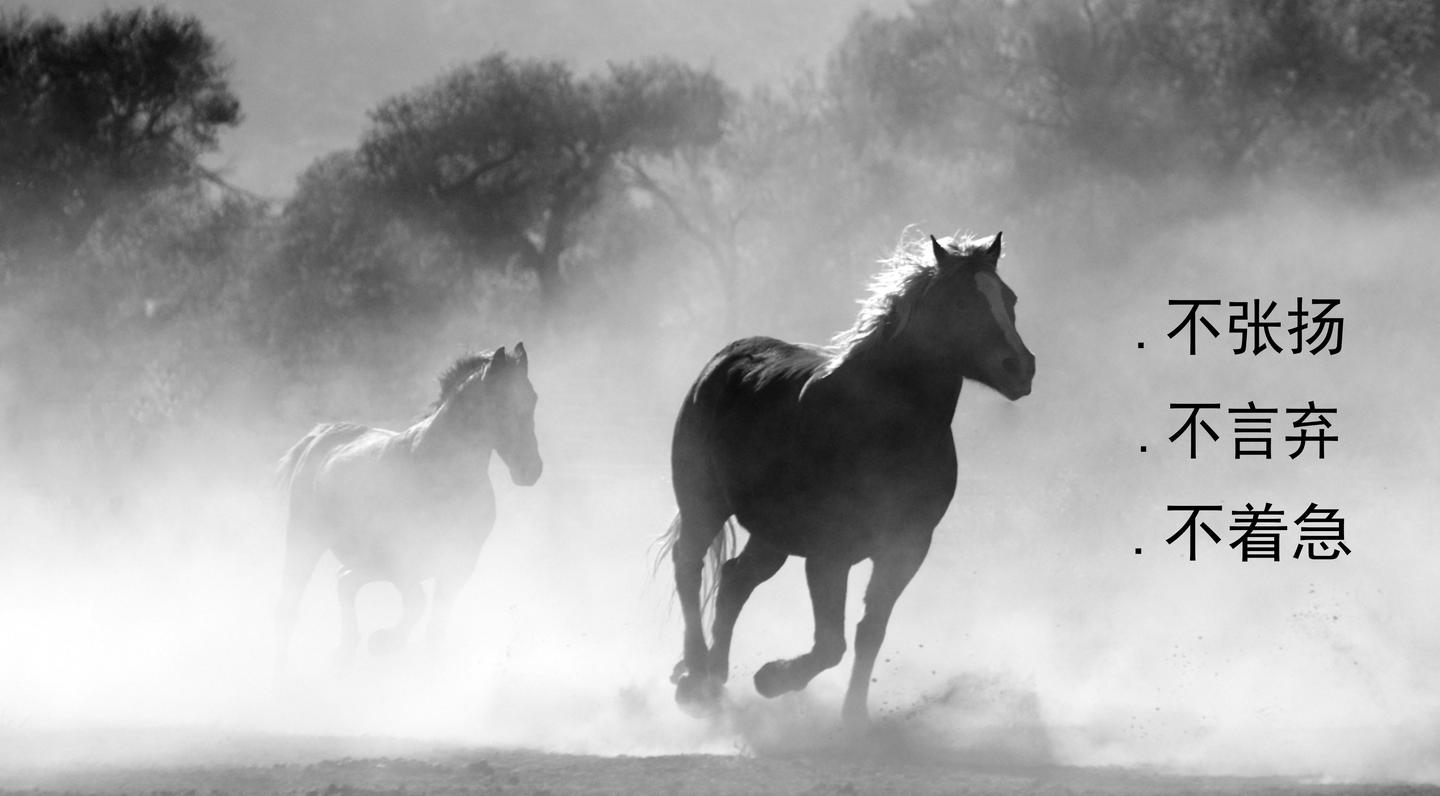 今晚澳門馬出什么特馬,今晚澳門馬會(huì)出哪些特馬？探索馬會(huì)神秘面紗下的秘密