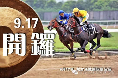 澳門今天晚上特馬開什么,澳門今晚特馬開什么，探索與解讀賽馬文化背后的秘密