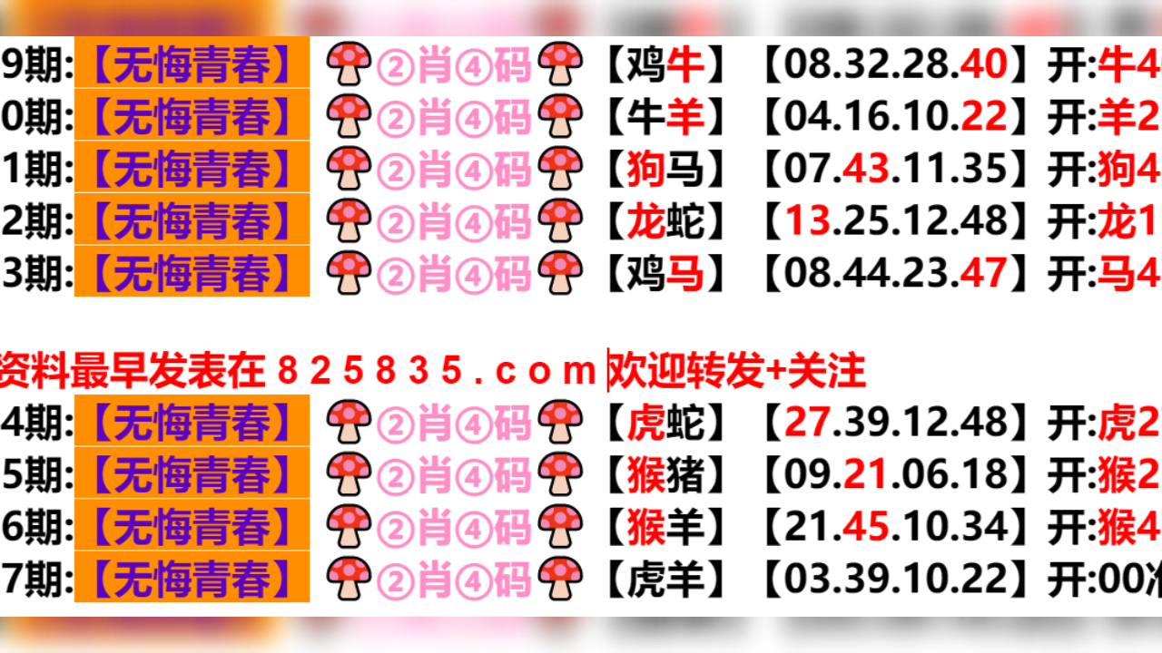 2024新澳門天天開好彩大全孔的五伏,新澳門天天開好彩大全孔的五伏，探索與期待