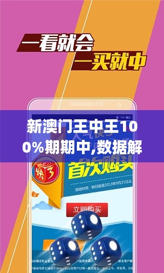 新澳門王中王王中王免費,新澳門王中王王中王免費，探索與體驗