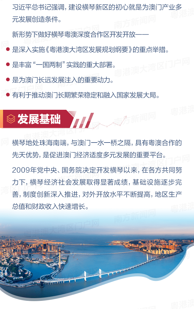 澳門天天開好彩大全65期,澳門天天開好彩大全深度解析，第65期展望與回顧