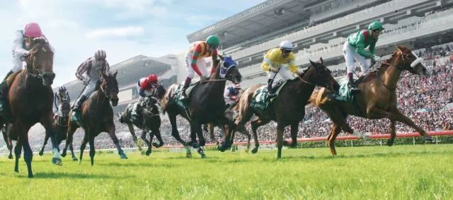 香港今晚開什么特馬,香港今晚開什么特馬，探索賽馬文化背后的故事