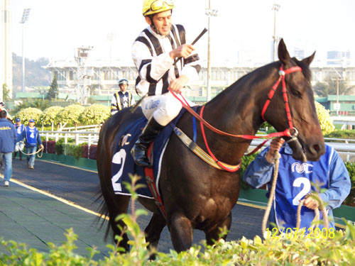 2024澳門正版今晚開特馬,澳門正版今晚開特馬，探索背后的故事與意義