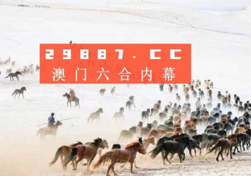 4949澳門特馬今晚開獎53期,澳門特馬第53期開獎揭曉，4949的魅力與期待