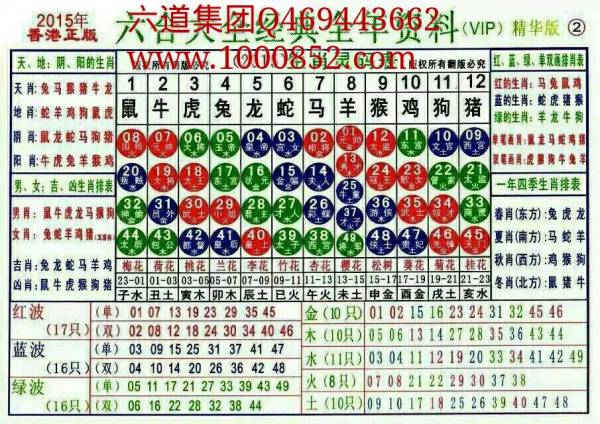 2025十二生肖49碼表,揭秘十二生肖與數(shù)字彩票的奇妙結(jié)合，2025年十二生肖49碼表解析