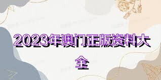 2023澳門正版全年免費(fèi)資料,澳門正版全年免費(fèi)資料，探索與期待