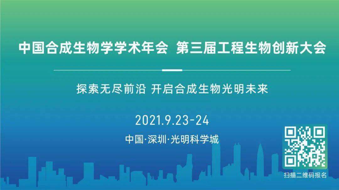 2025新澳免費資料40期,探索未來之門，新澳免費資料四十期展望（2025年）