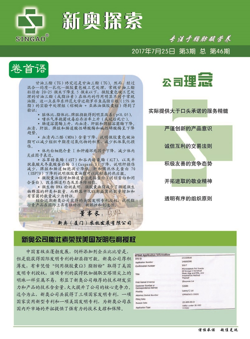 2025新奧精準(zhǔn)正版資料,探索未來(lái)，解析2025新奧精準(zhǔn)正版資料的重要性與價(jià)值