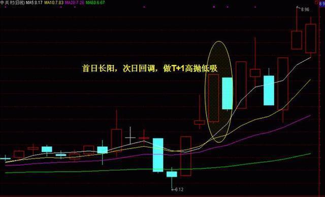 新澳門黃大仙8碼大公開,新澳門黃大仙8碼大公開，揭秘神秘面紗下的真相