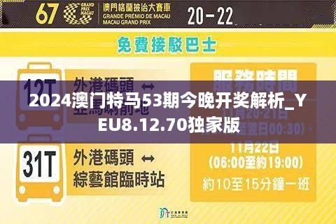 2025年澳門特馬今晚,探索澳門特馬的世界，2025年的今晚