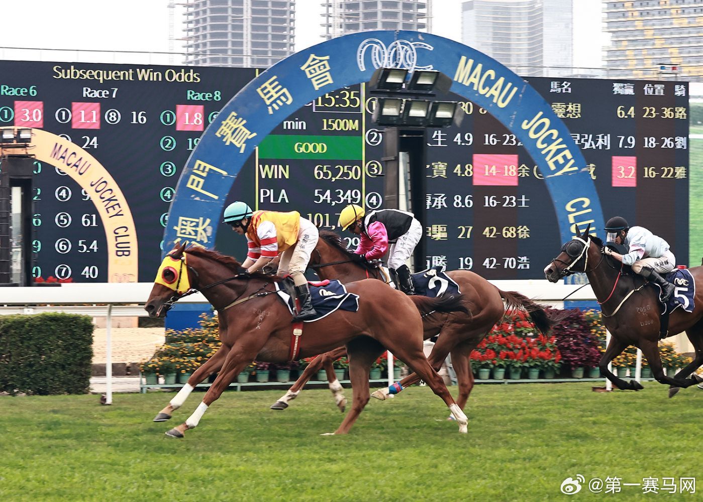 今晚澳門(mén)馬出什么特馬,今晚澳門(mén)馬出什么特馬，探索澳門(mén)賽馬世界的神秘面紗