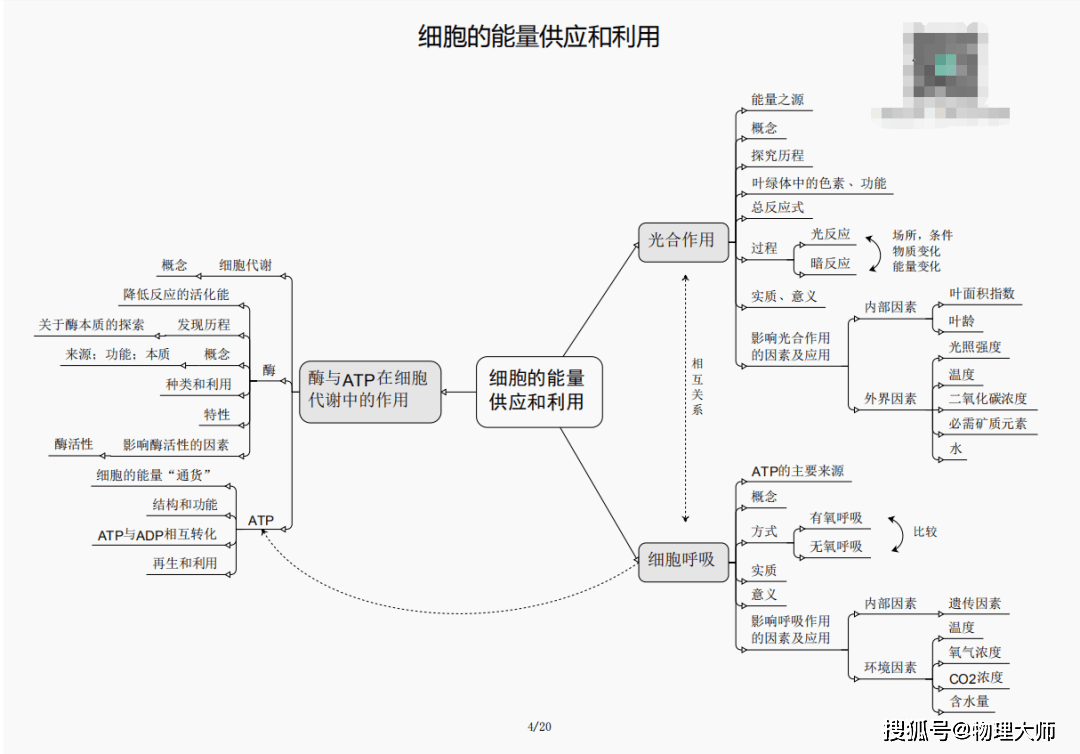 白小姐三肖三期必出一期開獎虎年,白小姐三肖三期必出一期,白小姐三肖三期必出一期開獎虎年——揭秘彩票神話