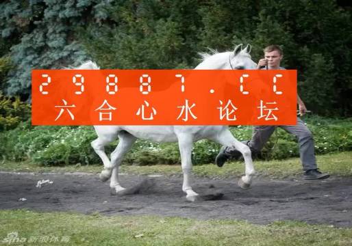 7777788888新版跑狗圖,探索新版跑狗圖，77777與88888的魅力交織