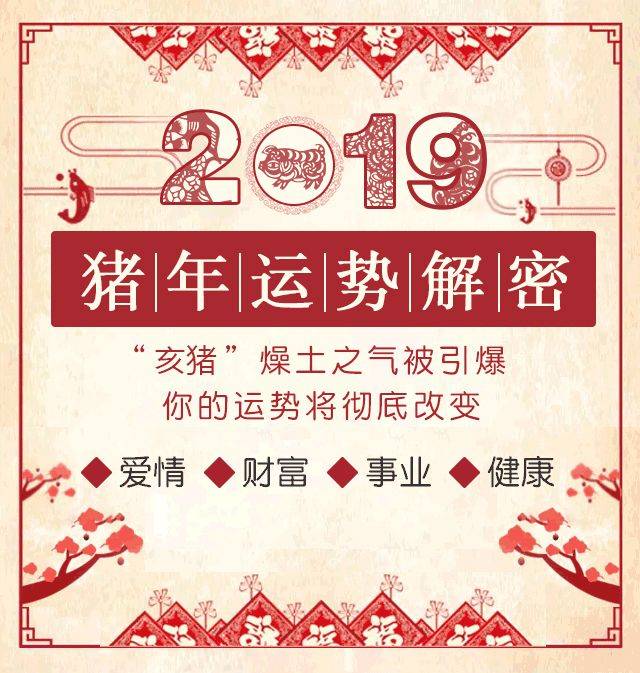 一碼一肖100%精準(zhǔn),一碼一肖，揭秘精準(zhǔn)預(yù)測(cè)背后的秘密