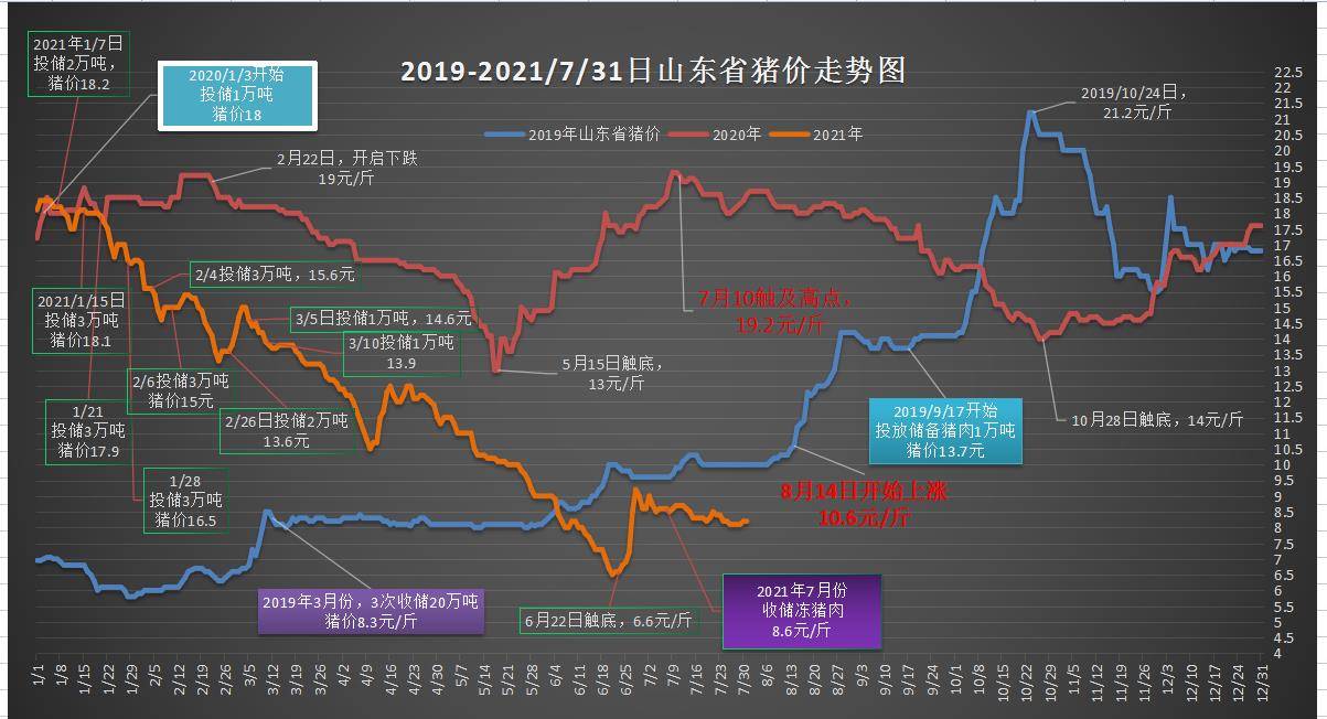 2023年澳門特馬今晚開碼,澳門特馬今晚開碼，探索未來的繁榮與機(jī)遇