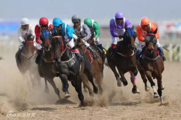 澳門今晚開特馬四不像圖,澳門今晚開特馬四不像圖——探索澳門賽馬文化的獨(dú)特魅力