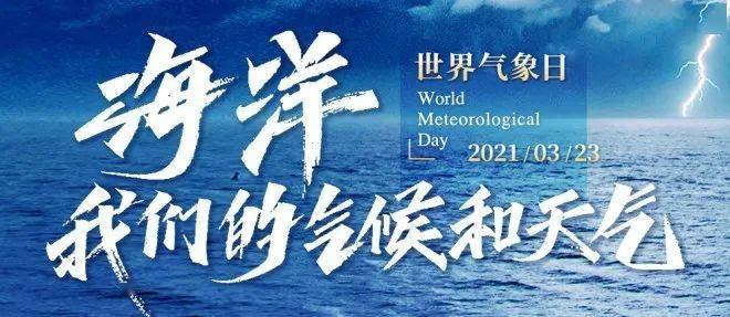 494949澳門今晚開什么,探索澳門今晚的開彩奧秘，494949的魅力與預測